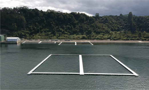 Fish Farm